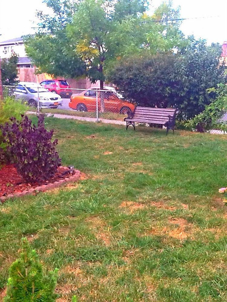 Jfk Bed And Breakfast Guesthouse New York Exterior foto
